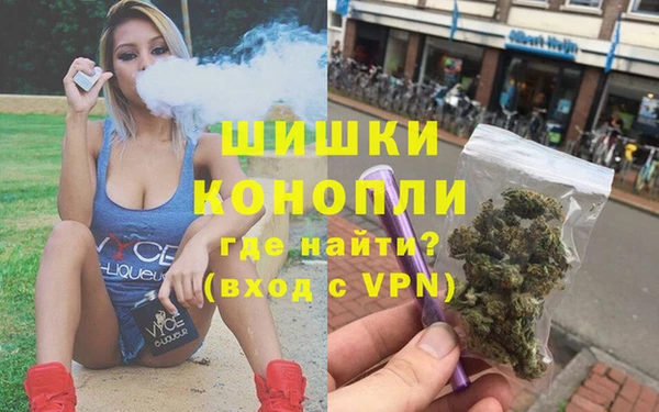 крисы Касимов