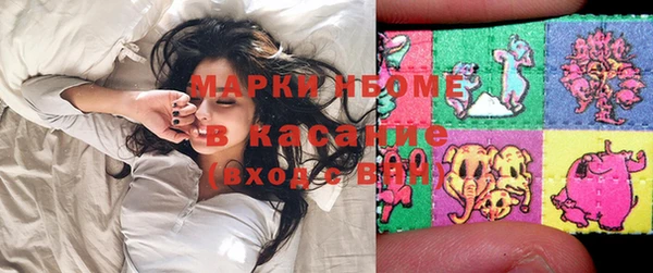 крисы Касимов
