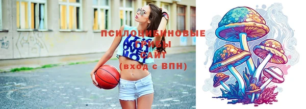 крисы Касимов