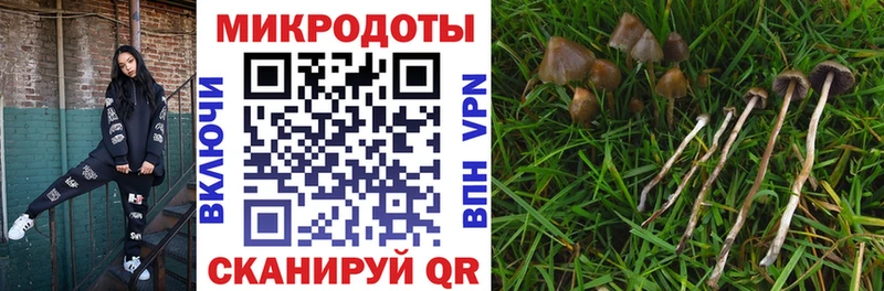 Купить  Беслан  Галлюциногенные грибы мицелий 